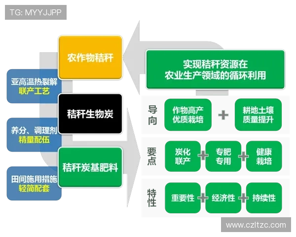 探索现代足球俱乐部多元化发展路径与社区融合实践研究新趋势分析